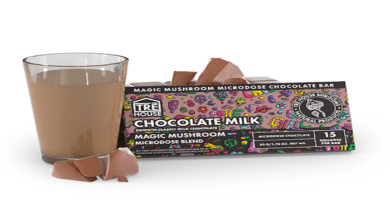 Magic Mushroom Chocolate