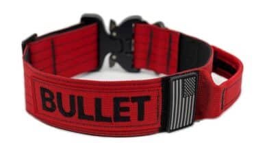 Embroidered collars for dogs